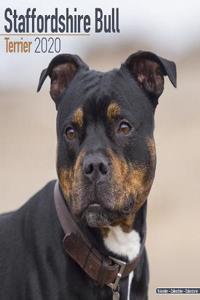 Staffordshire Bull Terrier Calendar 2020