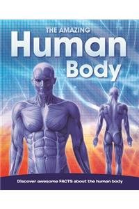 The Amazing Human Body