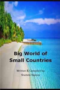 Big World of Small Countries