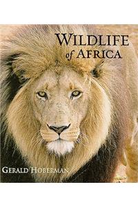 Wildlife of Africa