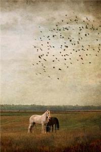 Horses Notebook