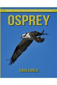 Osprey