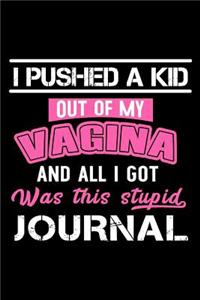 I Pushed A Kid Out Of My Vagina And All I Got Was This Stupid Journal