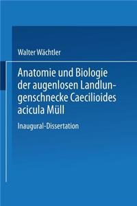 Anatomie Und Biologie Der Augenlosen Landlungenschnecke Caecilioides Acicula Müll