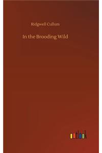 In the Brooding Wild