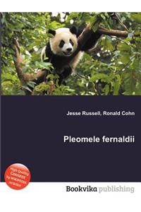 Pleomele Fernaldii