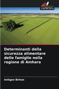 Determinanti della sicurezza alimentare delle famiglie nella regione di Amhara