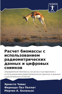 Расчет биомассы с использованием радиоме