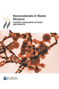 Nanomaterials in Waste Streams Current Knowledge on Risks and Impacts