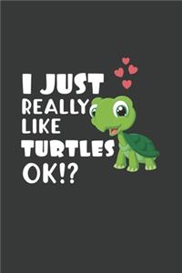 I Just Really Like Turtles OK?