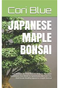 Japanese Maple Bonsai