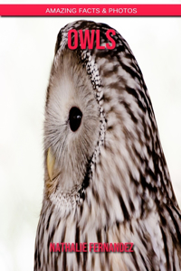 Owls