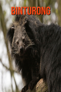 Binturong