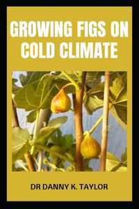 Growing Figs on Cold Climate