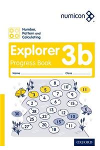 Numicon: Number, Pattern and Calculating 3 Explorer Progress Book B (Pack of 30)
