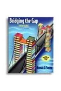 Bridging the Gap (2001 version)