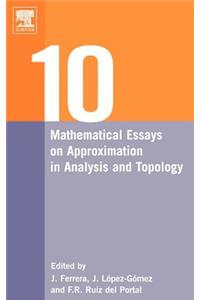 Ten Mathematical Essays on Approximation in Analysis and Topology