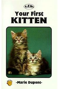 Your First Kitten