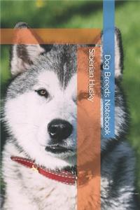 Siberian Husky