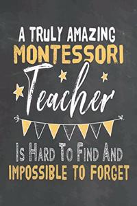 A Truly Amazing Montessori Teacher Is Hard To Find And Impossible To Forget