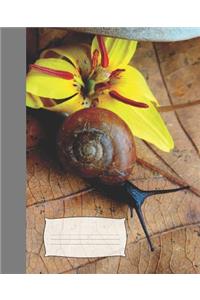 Cute Black and Brown Snail & Pretty Yellow Trout Lily Flower Wide-ruled Lined School Composition Notebook