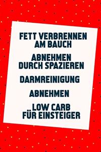 Fett verbrennen am Bauch - Abnehmen durch Spazieren - Darmreinigung - Abnehmen - Low Carb für Einsteiger: Schnell abnehmen und schlank werden (5in1 Bücher)