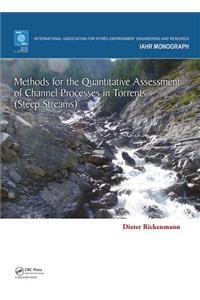Methods for the Quantitative Assessment of Channel Processes in Torrents (Steep Streams)