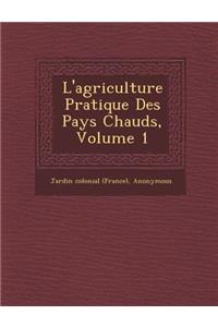 L'Agriculture Pratique Des Pays Chauds, Volume 1