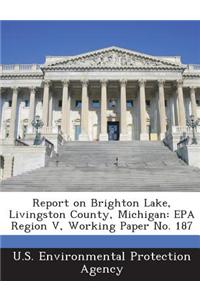 Report on Brighton Lake, Livingston County, Michigan: EPA Region V, Working Paper No. 187