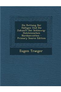 Die Rettung Der Halligen Und Die Zukunft Der Schleswig-Holsteinischen Nordseewatten