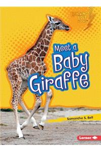 Meet a Baby Giraffe
