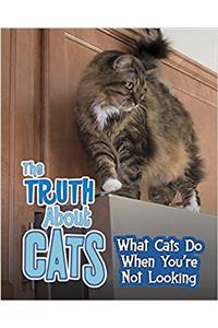 Pets Undercover! Pack A of 4