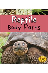 Reptile Body Parts