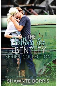 Falling for Bentley Collection Series