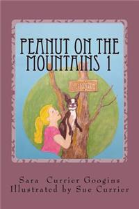 Peanut on the Mountains