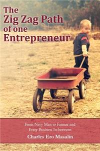 Zig Zag Path of one Entrepreneur