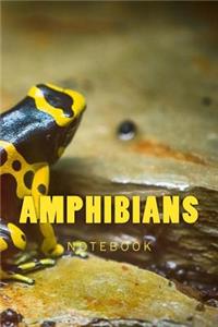 Amphibians