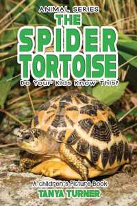 THE SPIDER TORTOISE Do Your Kids Know This?