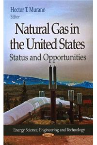 Natural Gas in the United States