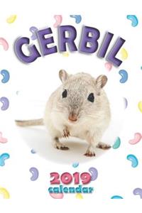 Gerbil 2019 Calendar