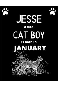 JESSE a cute cat boy is born in January