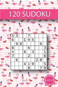 120 Sudoku