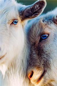 Goats Notebook