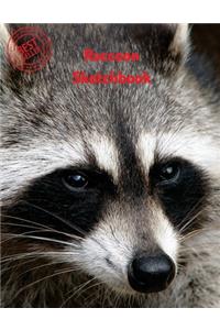 Raccoon Sketchbook