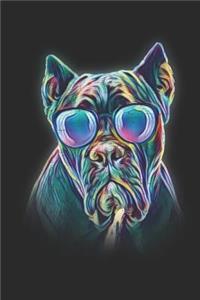 Cane Corso