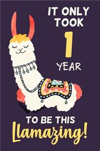 It Only Took 1 Year to Be This Llamazing!