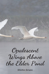 Opalescent Wings Above the Elder Pond