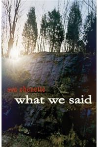What We Said