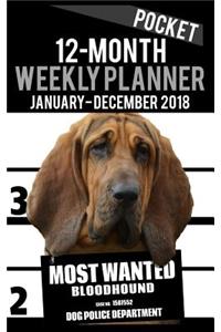 2018 Pocket Weekly Planner - Most Wanted Bloodhound