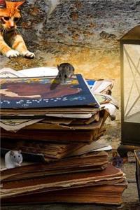 Catastrophe Notebook